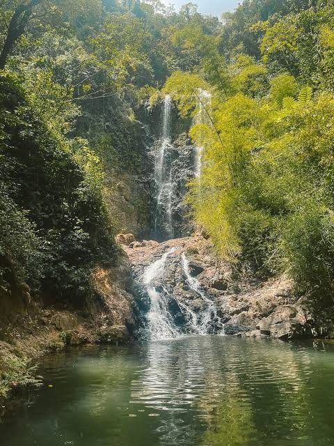 Cascada de varios saltos que cae entre bambúes a una poza verde