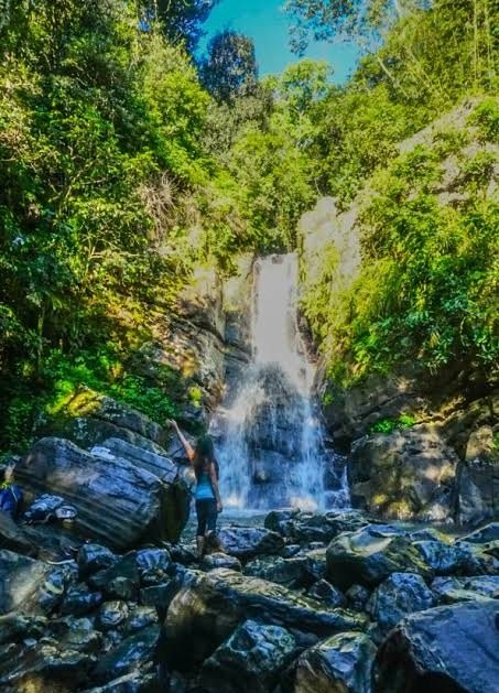 Cascada que cae entre la vegetación del bosque sobre rocas oscuras