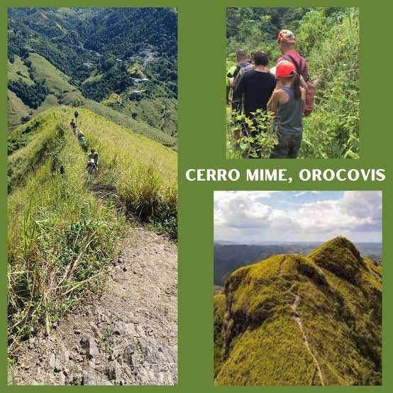 Collage del Cerro Mime en Orocovis: caminantes en fila por una cresta de hierba, un grupo en el bosque y la cima cubierta de musgo